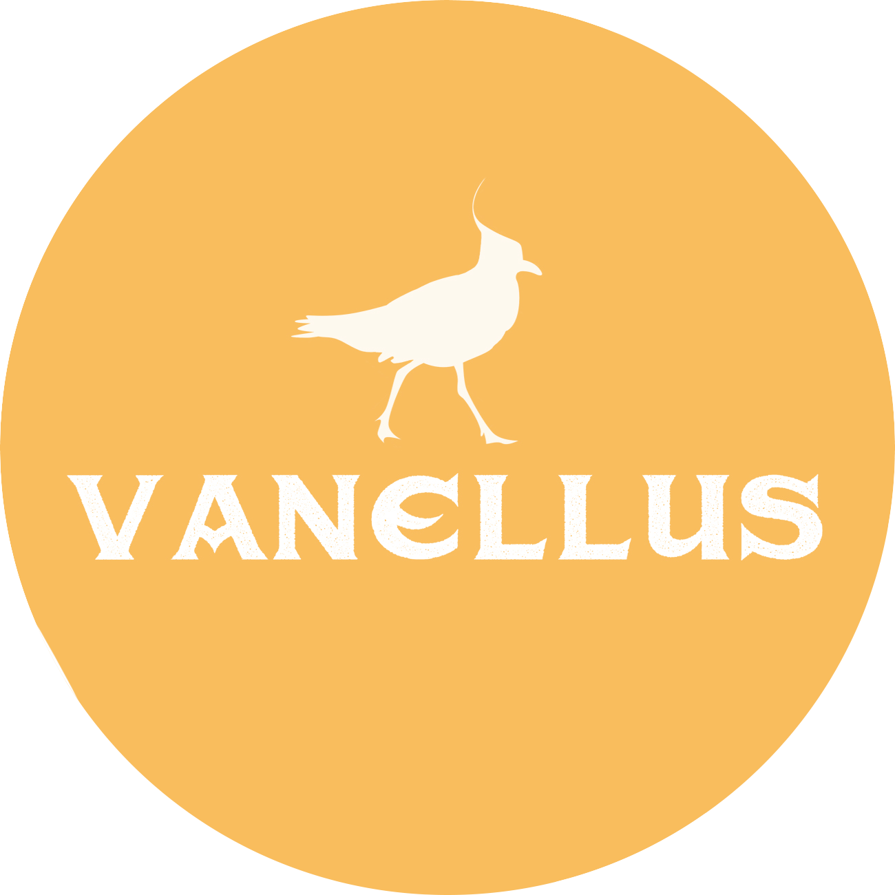 Vanellus Instagram